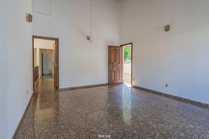 Image 16 - 924917