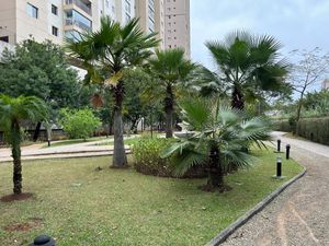 Image 25 - 925021