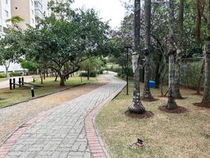 Image 24 - 925021