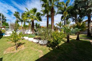 Image 8 - 925053