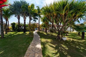Image 3 - 925053