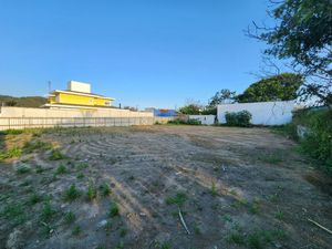 Image 4 - 925055