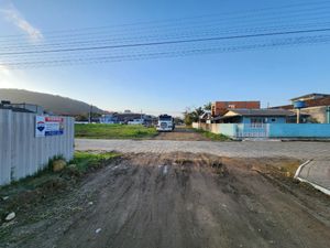 Image 16 - 925055