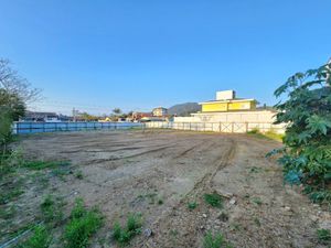 Image 5 - 925055