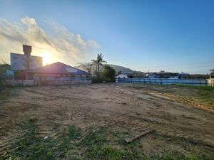 Image 8 - 925055