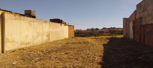 Image 3 - 925074
