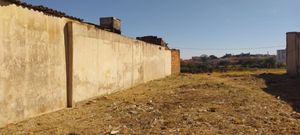 Image 4 - 925074