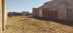 Image 11 - 925074