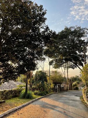 Image 10 - 925120