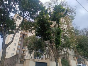 Image 18 - 925181