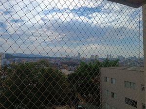 Image 17 - 925181