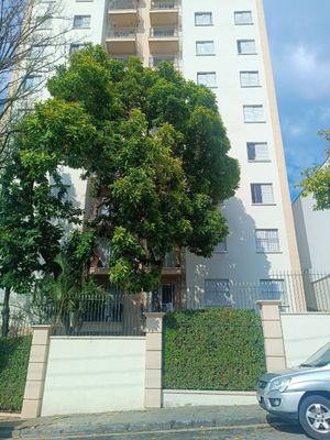 Image 27 - 925181
