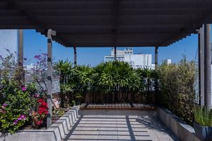 Image 113 - 925207