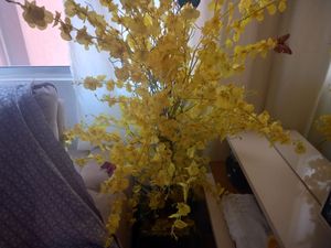 Image 5 - 925219