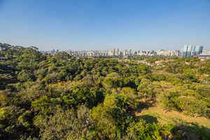 Image 43 - 925226