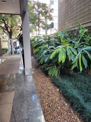 Image 19 - 925234