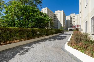Image 38 - 925305