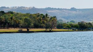 Image 73 - 925308