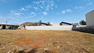 Image 38 - 925308