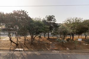 Image 28 - 925319