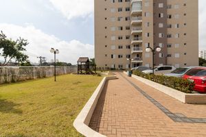 Image 40 - 925331