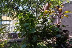 Image 4 - 925348