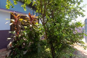 Image 44 - 925348