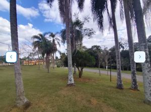 Image 7 - 925375
