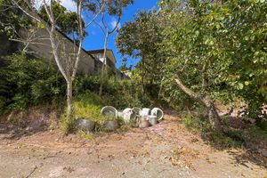 Image 4 - 925383