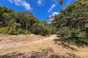 Image 7 - 925383