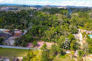 Image 10 - 925383