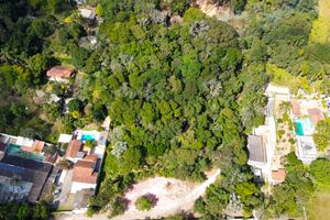 Image 16 - 925383