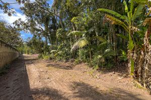 Image 8 - 925383