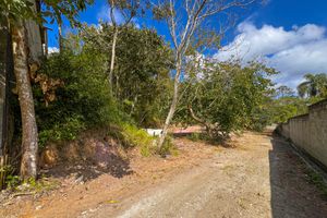 Image 5 - 925383