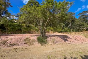 Image 6 - 925383