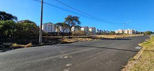 Image 7 - 925389