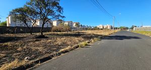 Image 15 - 925392