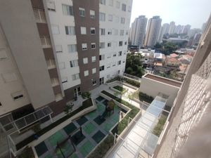 Image 6 - 925462