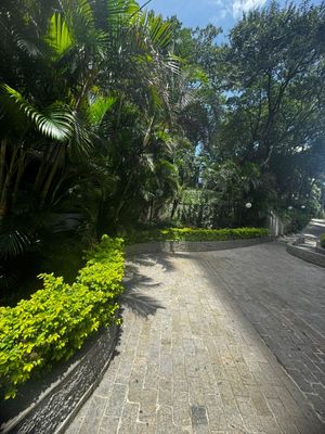 Image 28 - 925480