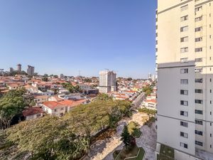 Image 25 - 925521