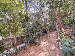 Image 35 - 925521