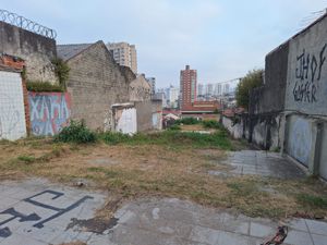 Image 7 - 925537