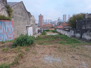 Image 10 - 925537