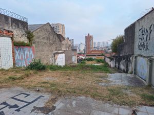 Image 3 - 925537