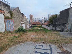 Image 8 - 925537
