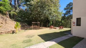 Image 24 - 925549