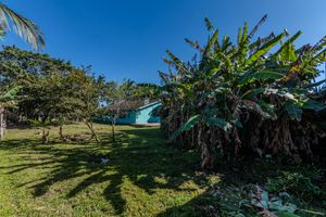 Image 8 - 925556