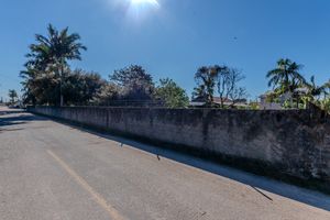 Image 5 - 925556