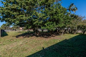 Image 9 - 925556