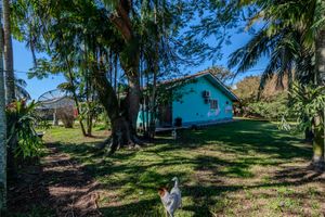 Image 14 - 925556